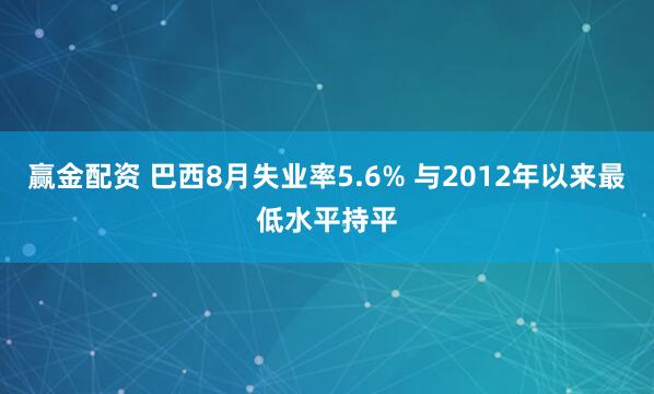 赢金配资 巴西8月失业率5.6% 与2012年以来最低水平持平