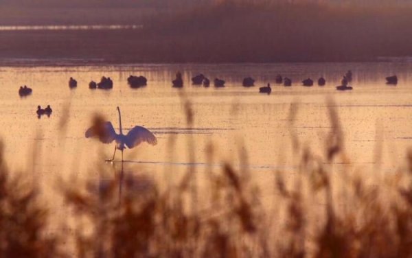 大圣配资 大河新语②丨一体协同，激活高质量发展新动能
